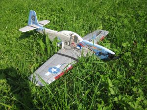 IMG_6703 - Horst - oben