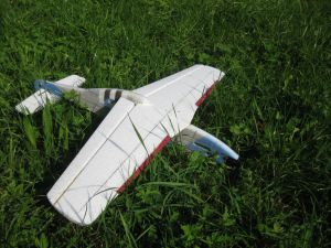 IMG_6704 - Horst - unten