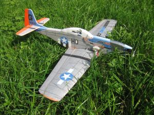 IMG_6705 - Siegfried - oben