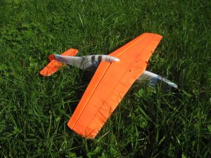 IMG_6706 - Siegfried - unten