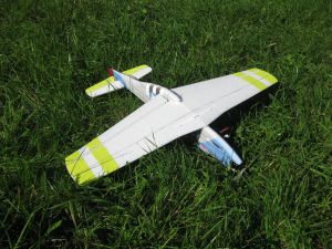 IMG_6779 - Oliver - unten